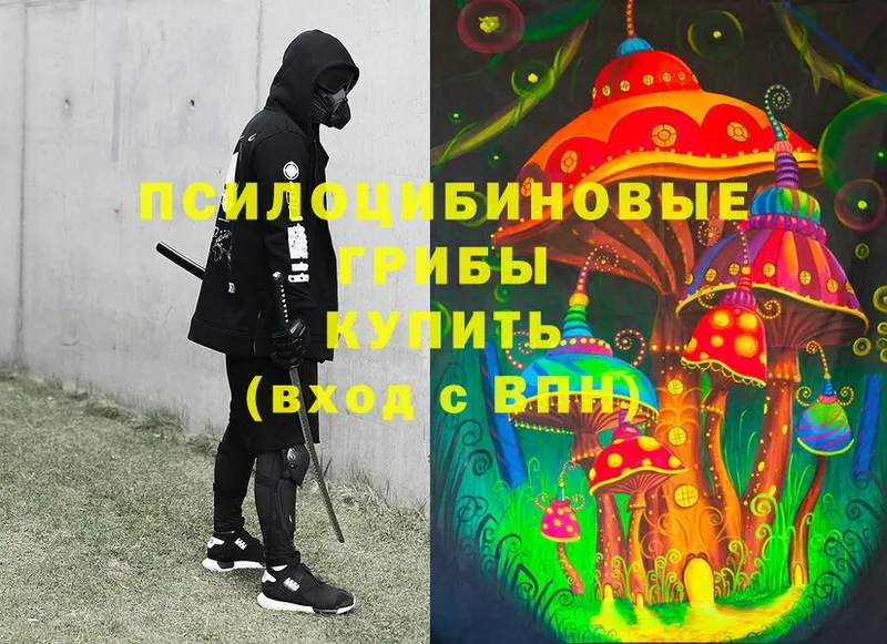 Галлюциногенные грибы MAGIC MUSHROOMS  Кириши 